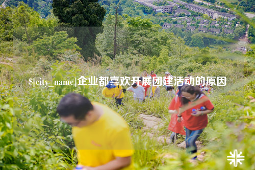 琼中企业都喜欢开展团建活动的原因